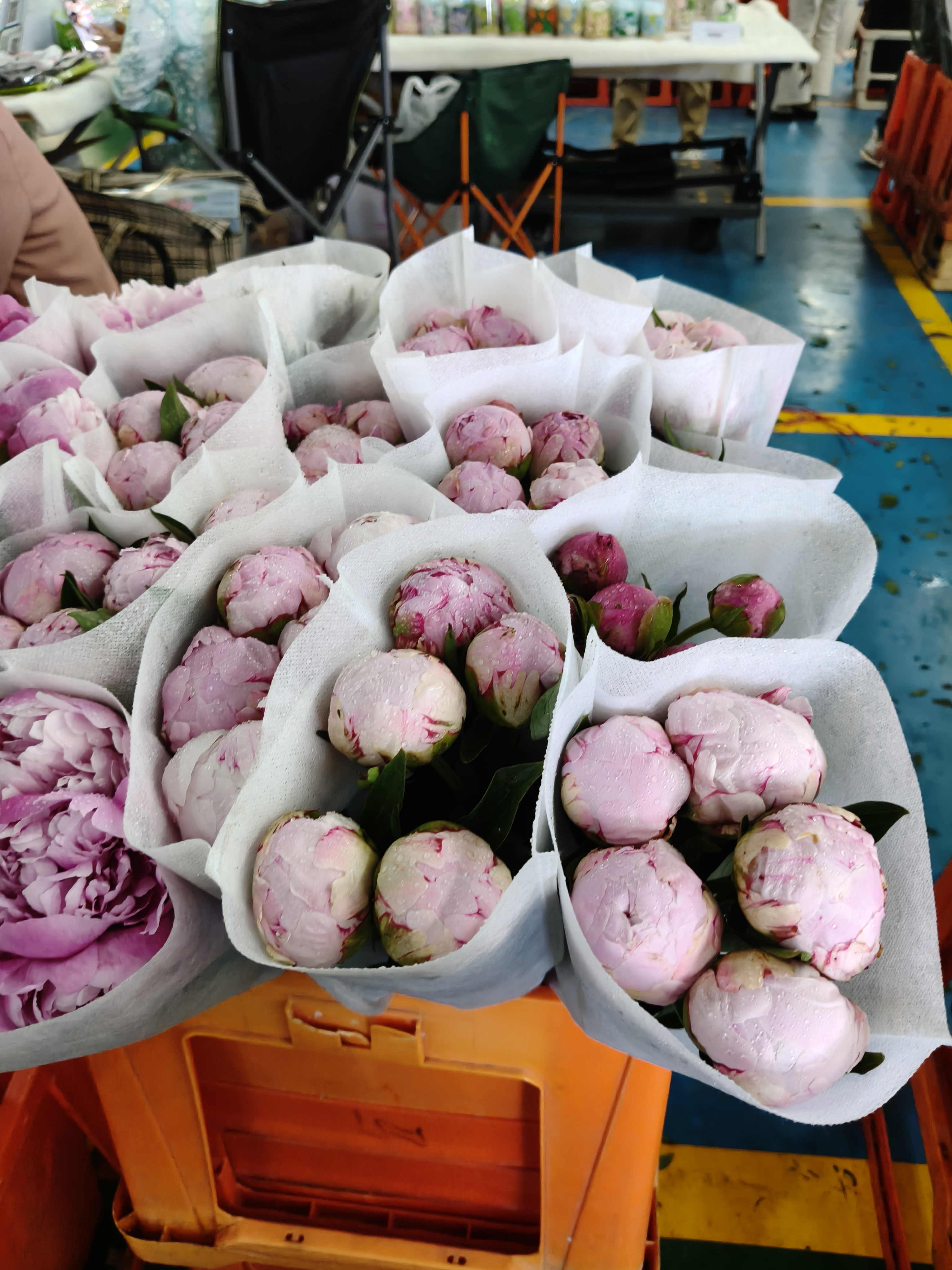 斗南花市