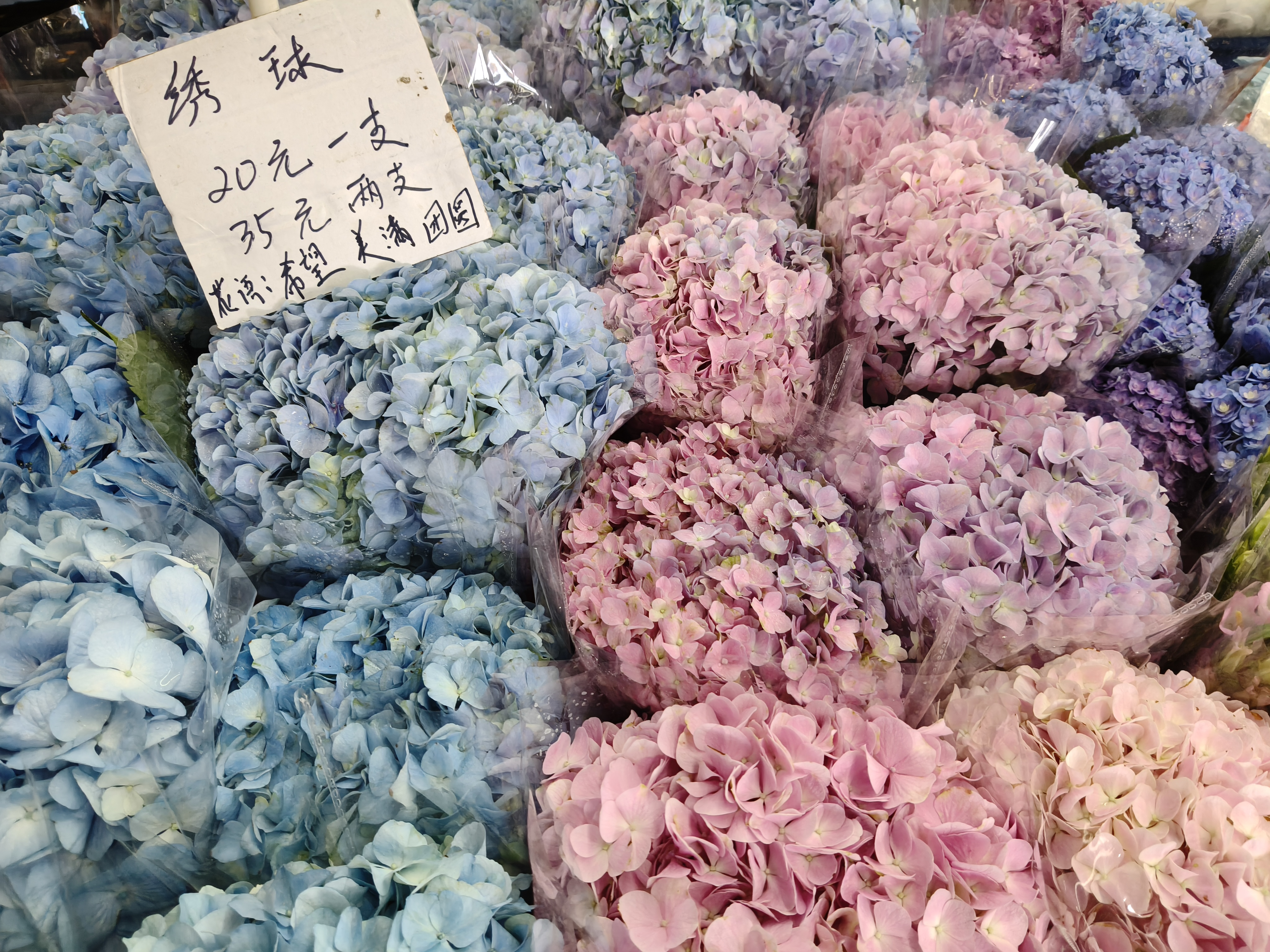 斗南花市